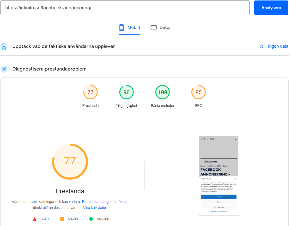bild på Googles speed insight för optimering av hemsida.